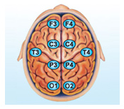 tab_neurofeedback